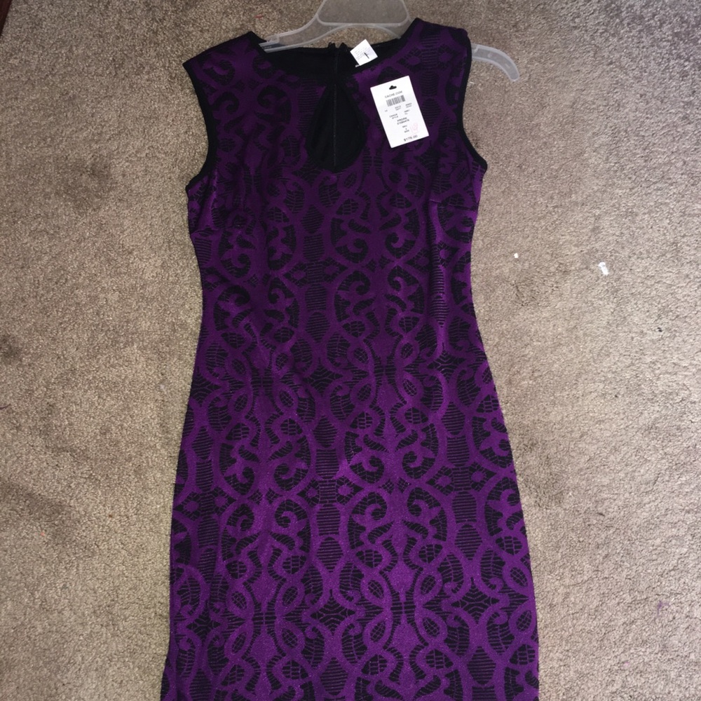 NWT Cache Dress